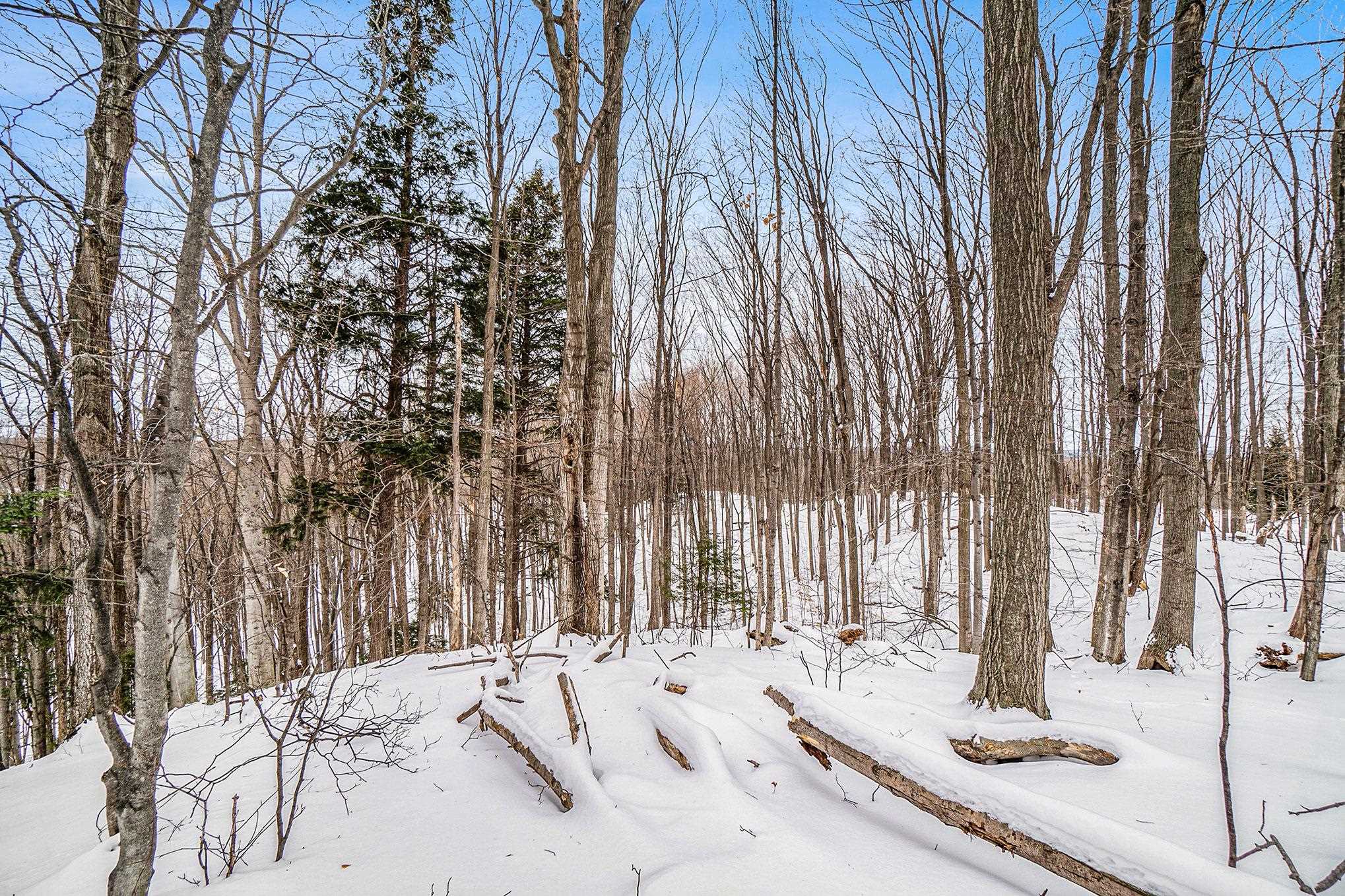 1180 Forrester Road Frankfort, MI 49635 - Photo 1 of 13