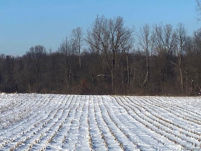 V/l Stewart Road Lapeer, MI 48446 - Photo 4 of 6