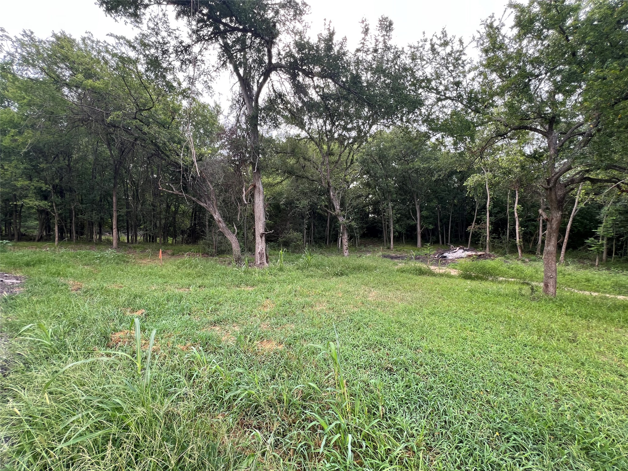 3000 Tract 1 Elgin, TX 78621 - Photo 11 of 18 Open field with no trees