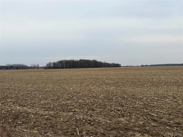 $1,170,000 | V/l V/l Ringle, Caro, MI 48723