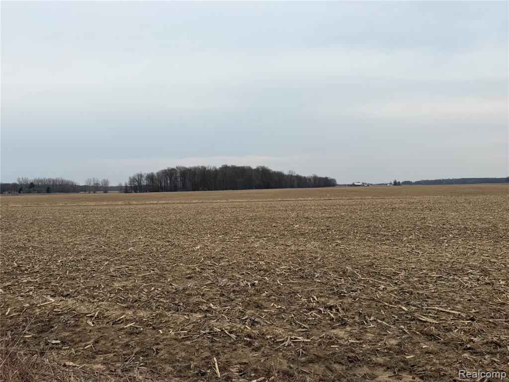 V/l Ringle Caro, MI 48723 - Photo 1 of 3