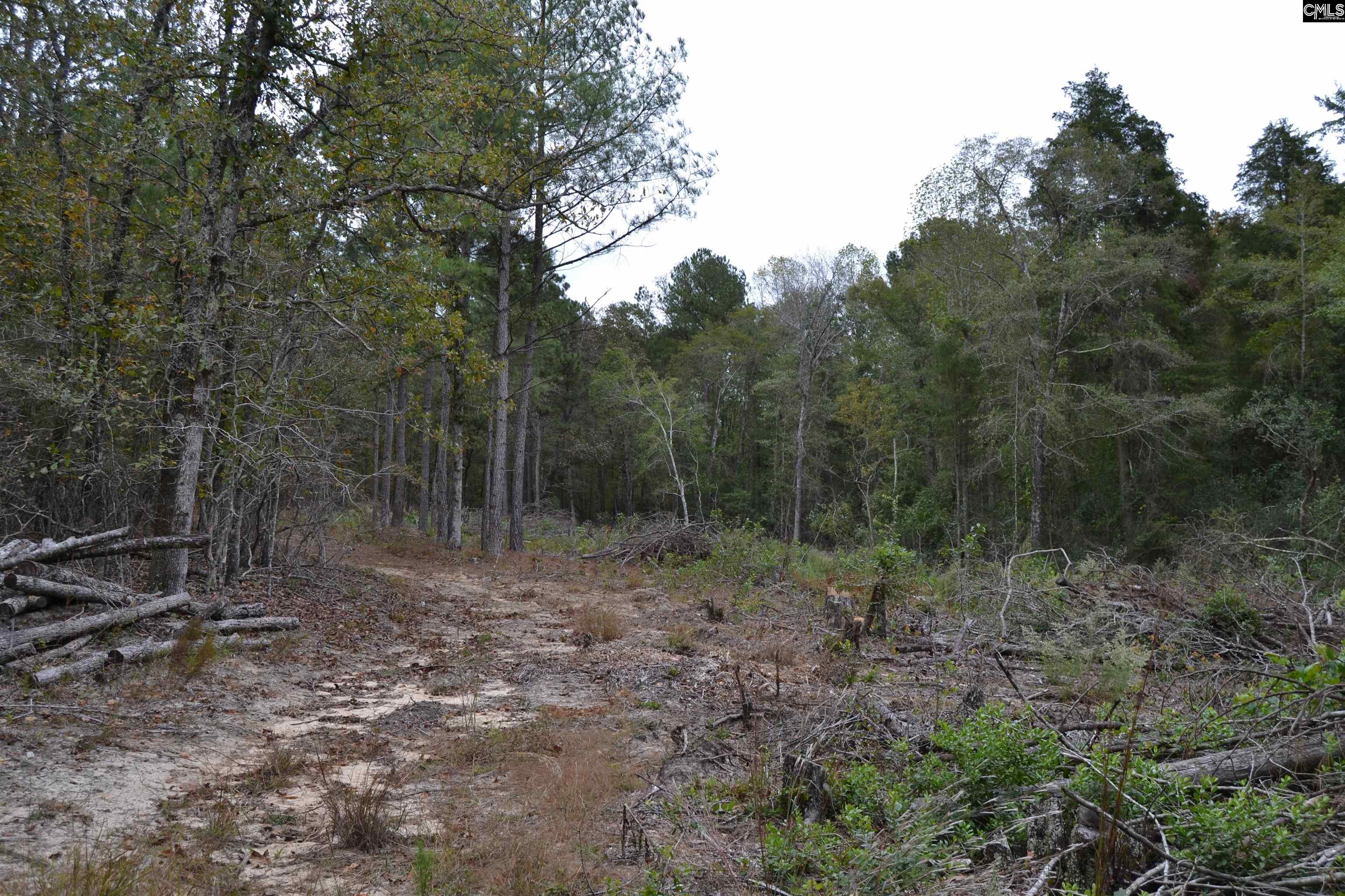 477 Thor Road Pelion, SC 29123 - Photo 7 of 21