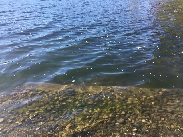 $399,900 | 1246 Vincent Lake Lane, Tekonsha, MI 49092