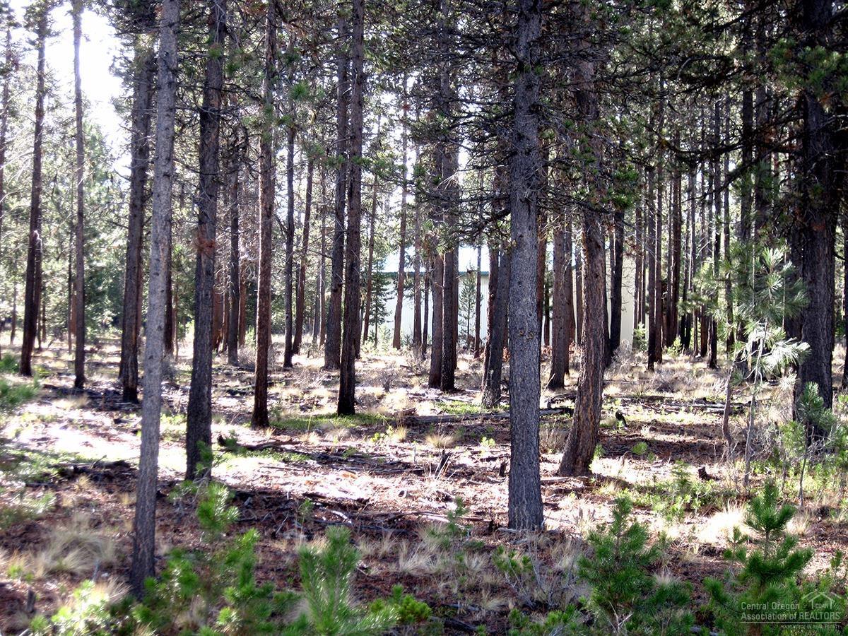 16709 Winchester Road Bend, OR 97707 - Photo 1 of 19 Primary Photo