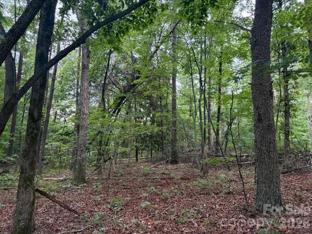 9999 Bill Collins Road Columbus, NC 28722 - Photo 7 of 17 a view of a forest that has large trees