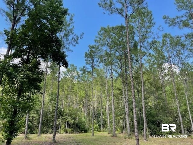 0 Highway 29 Andalusia, AL 36420 - Photo 2 of 9 View of tree filled area