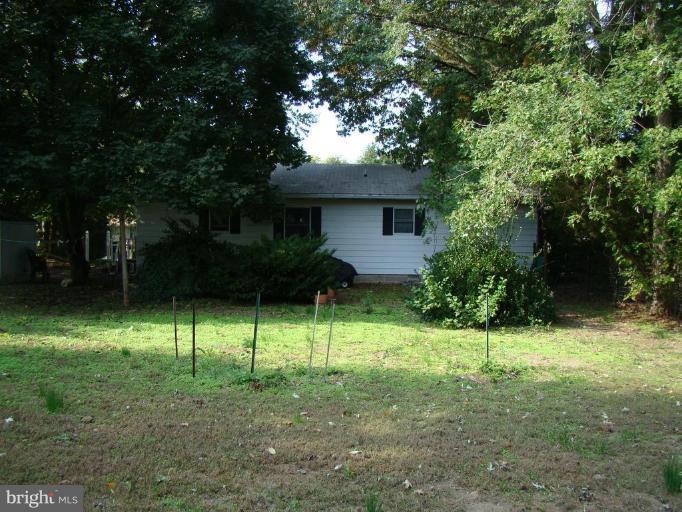 Back yard