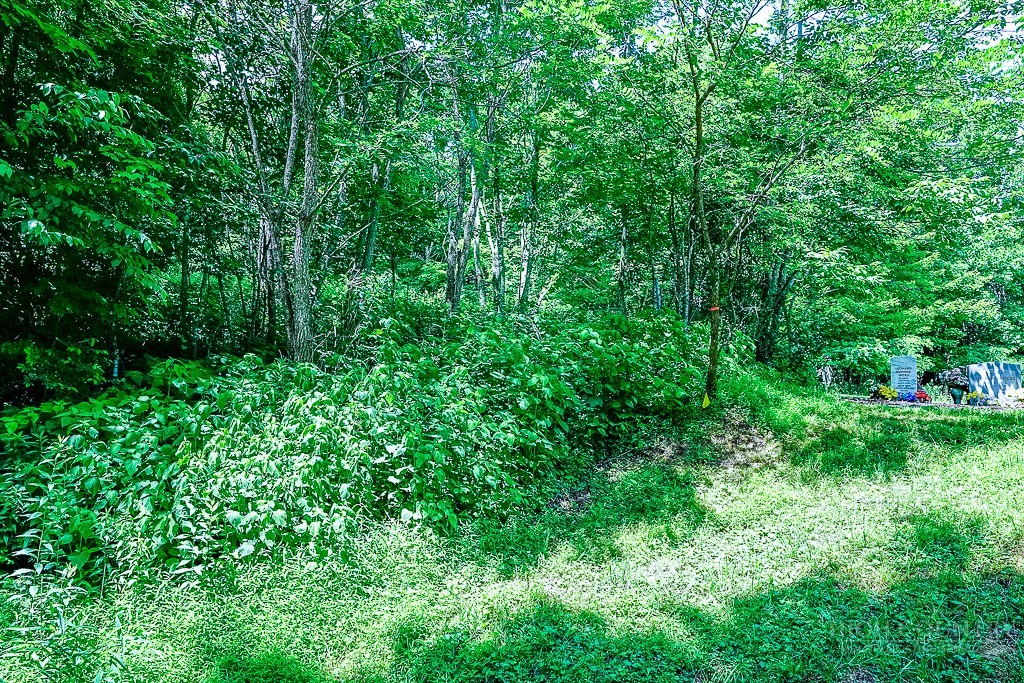 218 Old Mountain Road Banner Elk, NC 28604 - Photo 15 of 34 Gallery Image 15