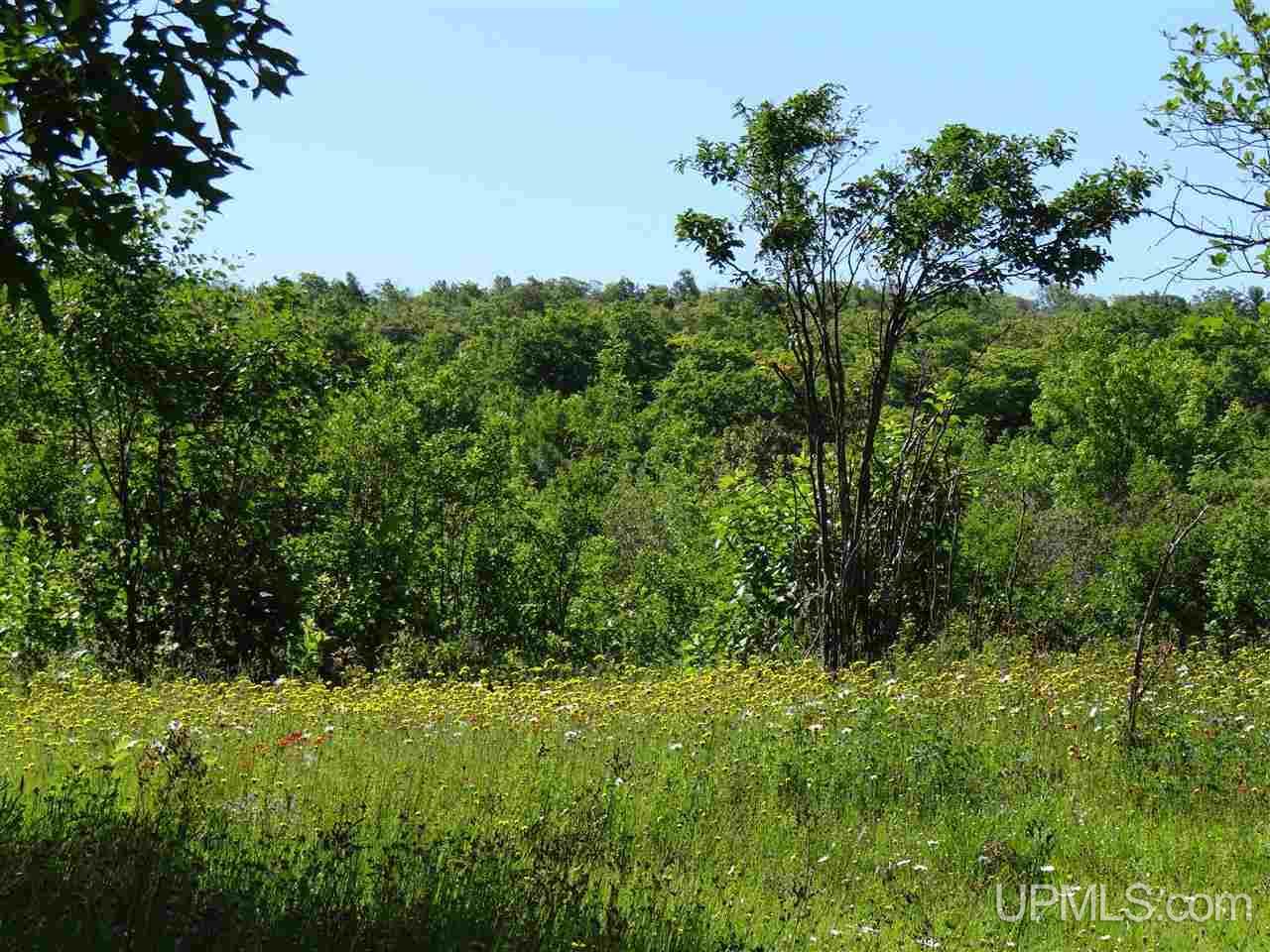 Tbd Sedar Hill Road Calumet, MI 49913 - Photo 17 of 21