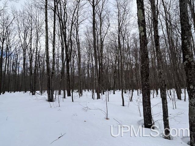 53554 North Superior Road Houghton, MI 49931 - Photo 23 of 41