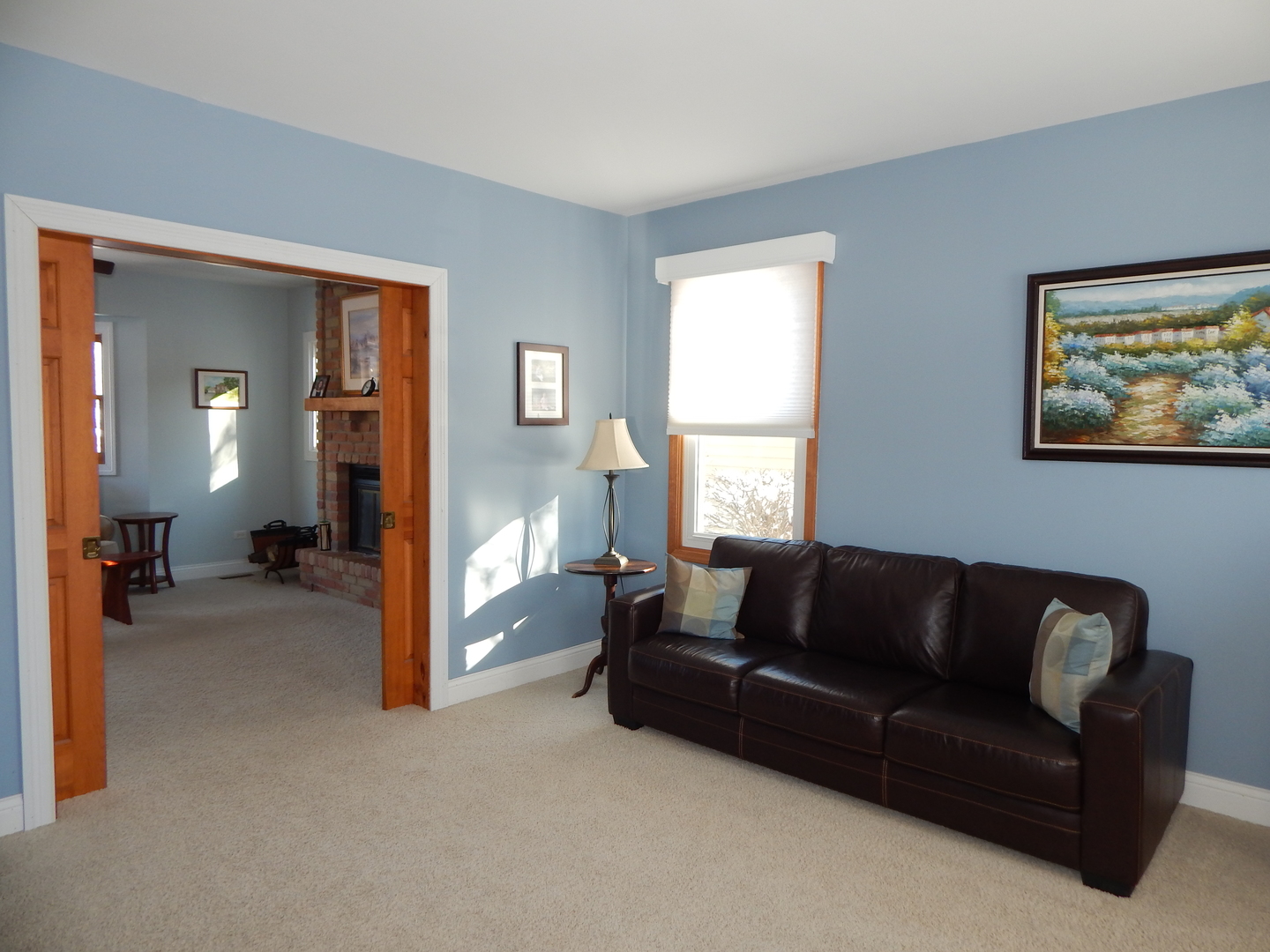 S461 Madison Street Winfield, IL 60190 - Photo 13 of 20