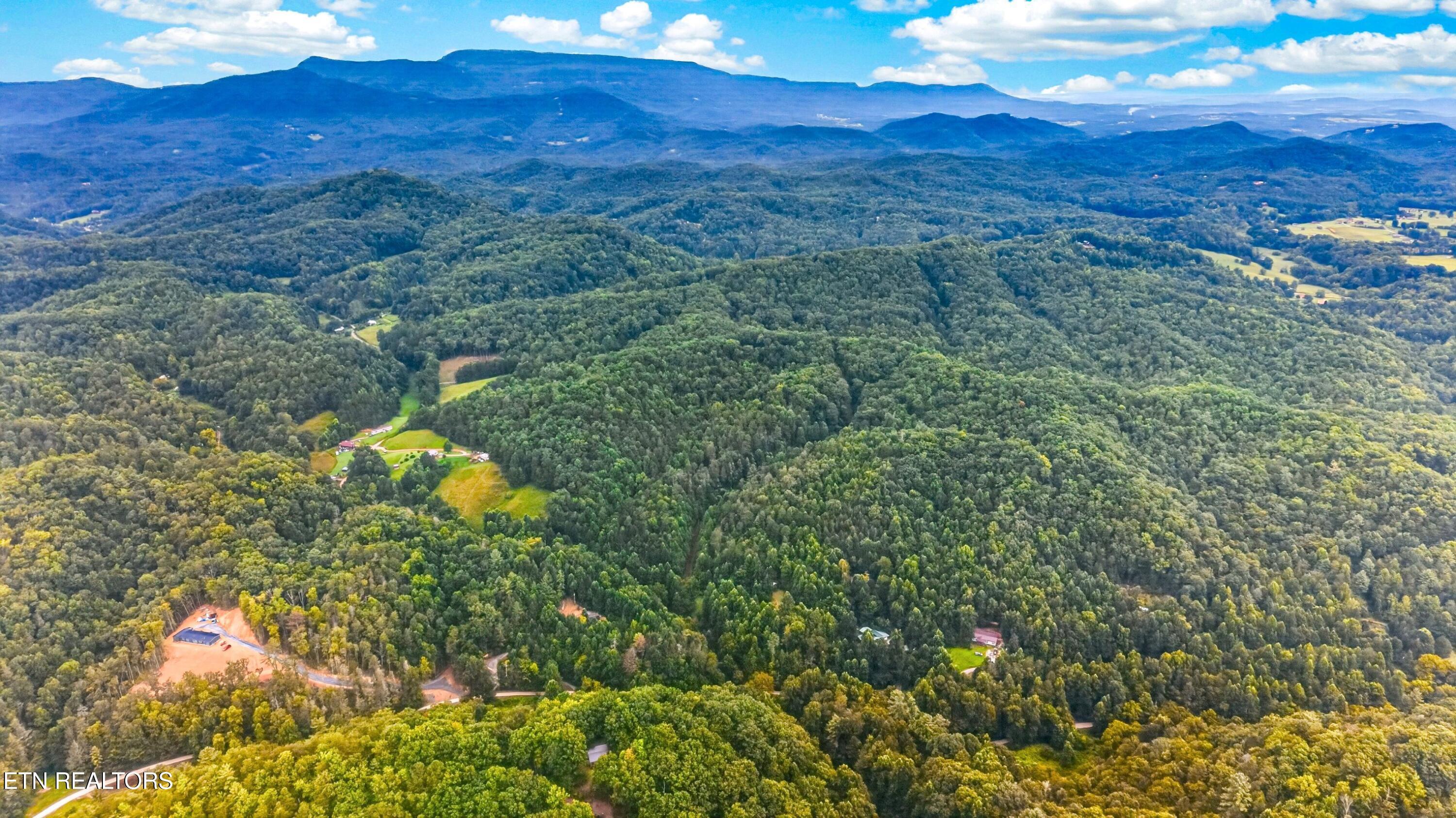 Chavis Road Cosby, TN 37722 - Photo 5 of 16 007-ChavisRoad-Cosby-TN-SMALL