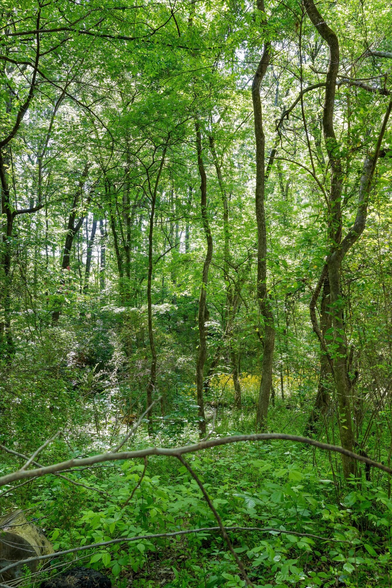 192 Prater Lake Road Northeast Calhoun, GA 30701 - Photo 34 of 41 35-Prater Lake-34