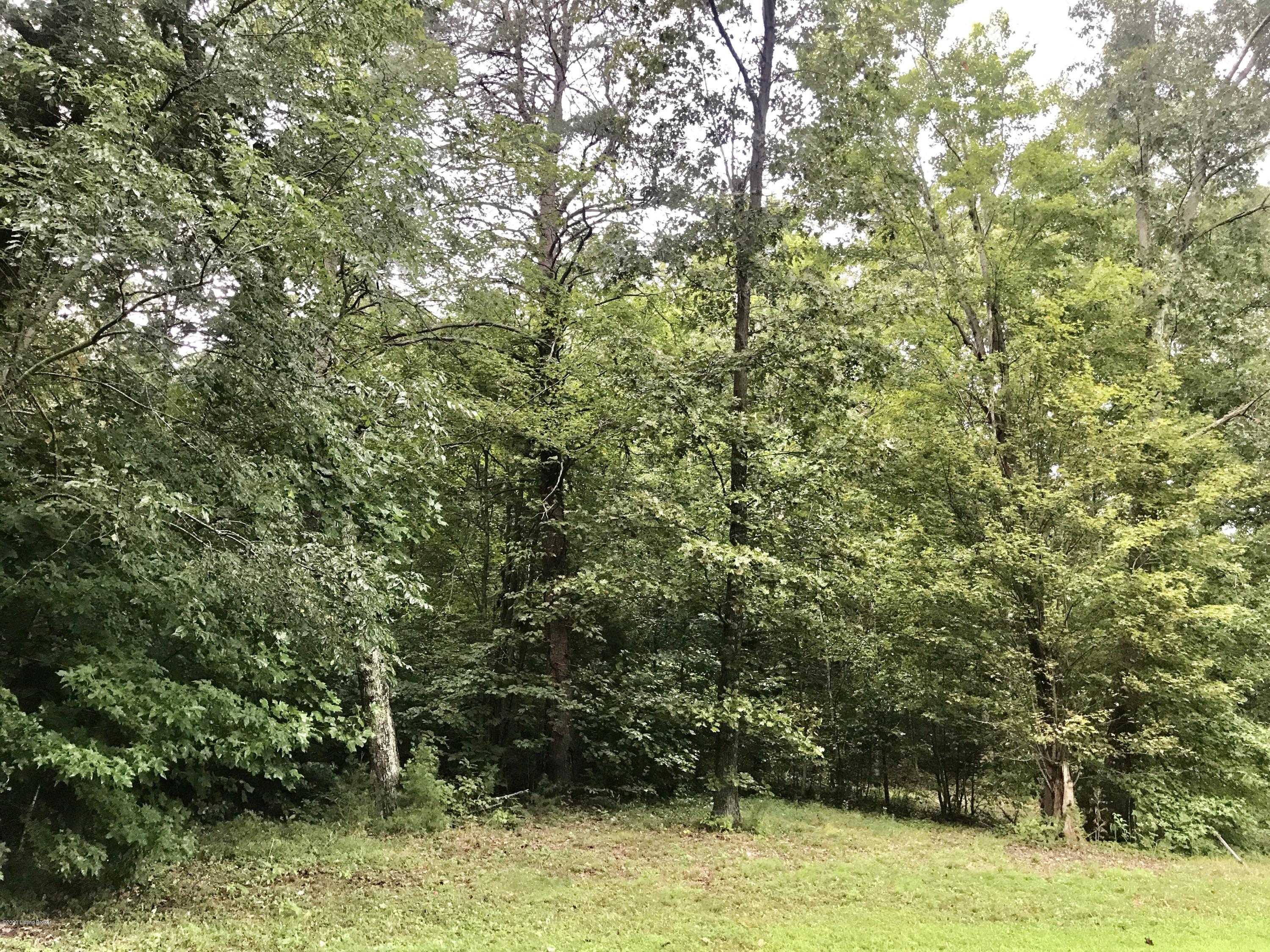 445 John Lee Road Lebanon Junction, KY 40150 - Photo 8 of 31 AD01DF53-627A-4BBB-BE5E-A790F328E137