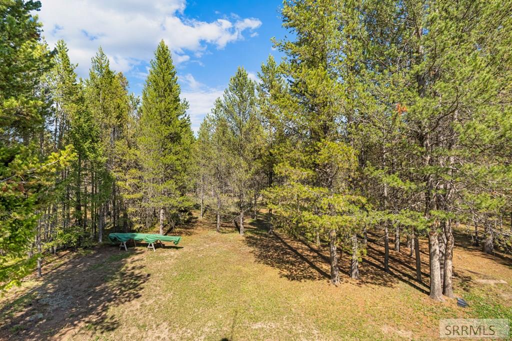 4020 Rancho McCrea Road Island Park, ID 83429 - Photo 49 of 71