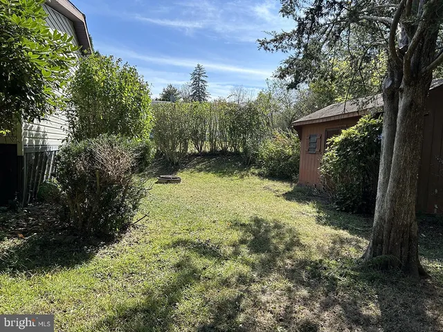 a view of yard with trees