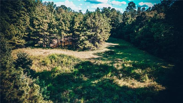 Tbd Tbd Bell Road Dry Prong, LA 71423 - Photo 14 of 15 Gallery Image 14