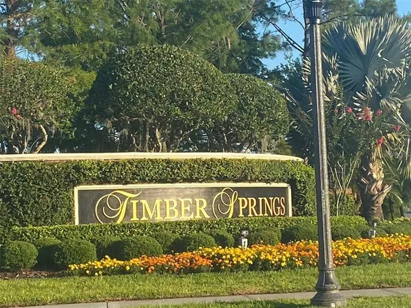 $2,950 | 337 Bella Vida Boulevard, Orlando, FL 32828