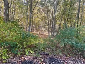 $49,000 | 0 Budd Lane, Millerton, NY 12546