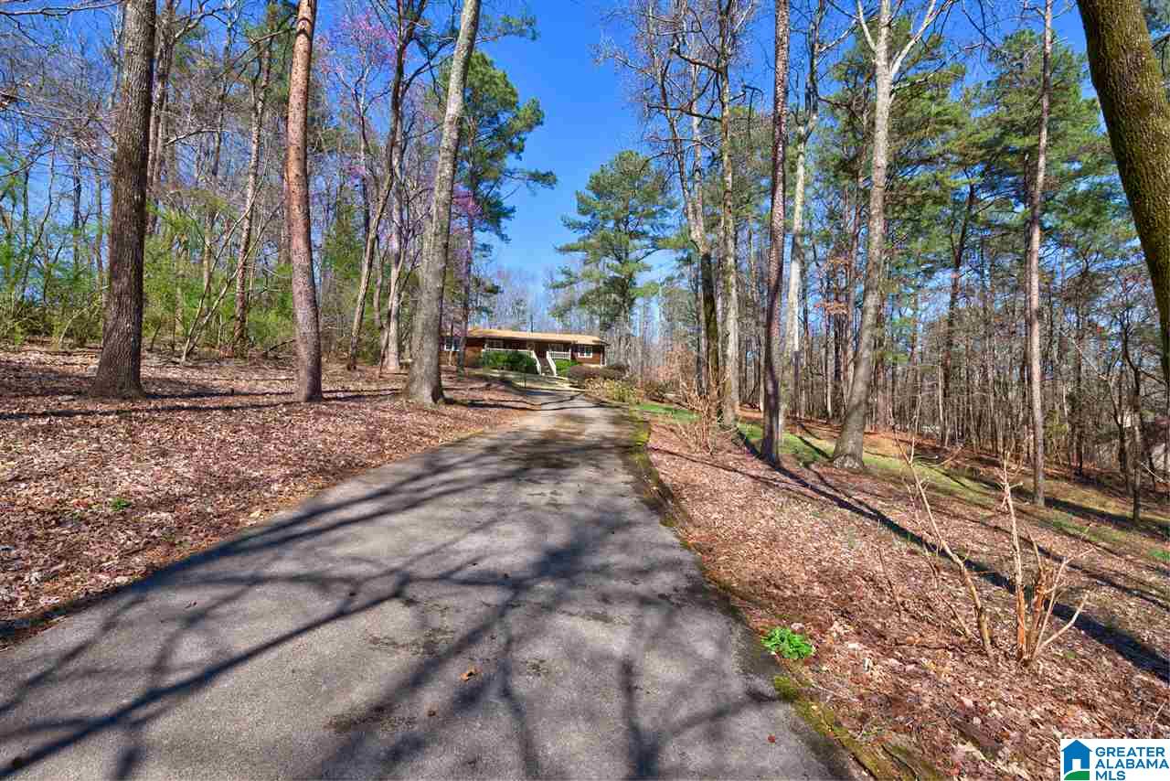 6434 Pine Tree Lane Pinson, AL 35126 - Photo 15 of 37