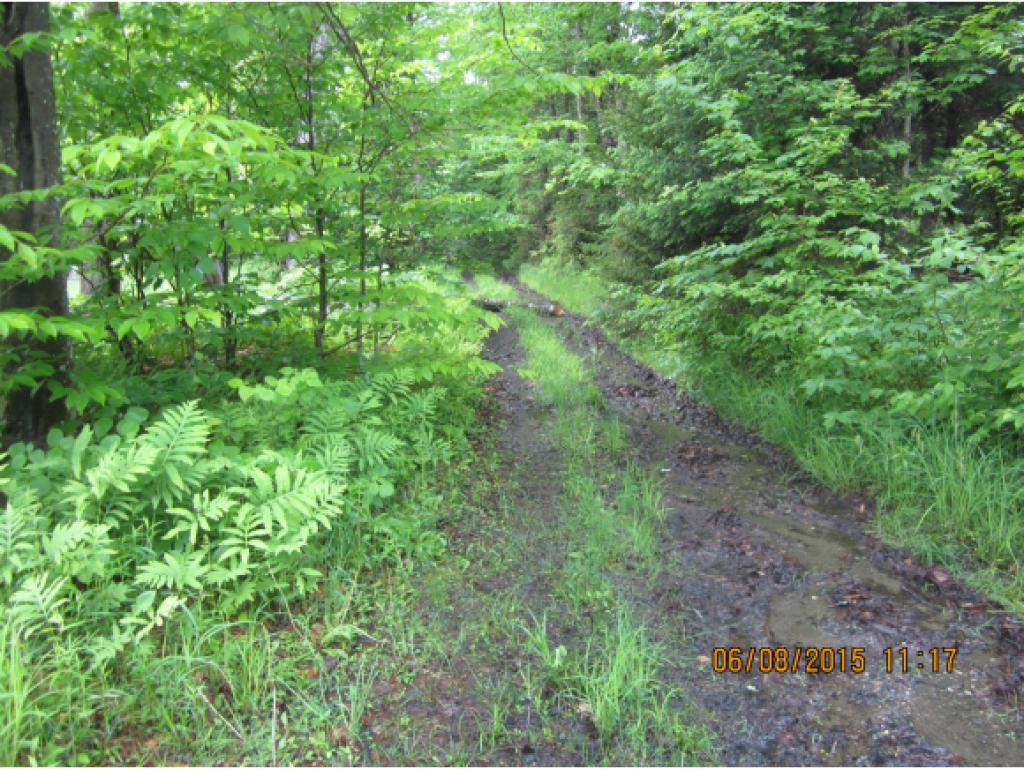 0 Dyer Road Albany, VT 05820 - Photo 10 of 22