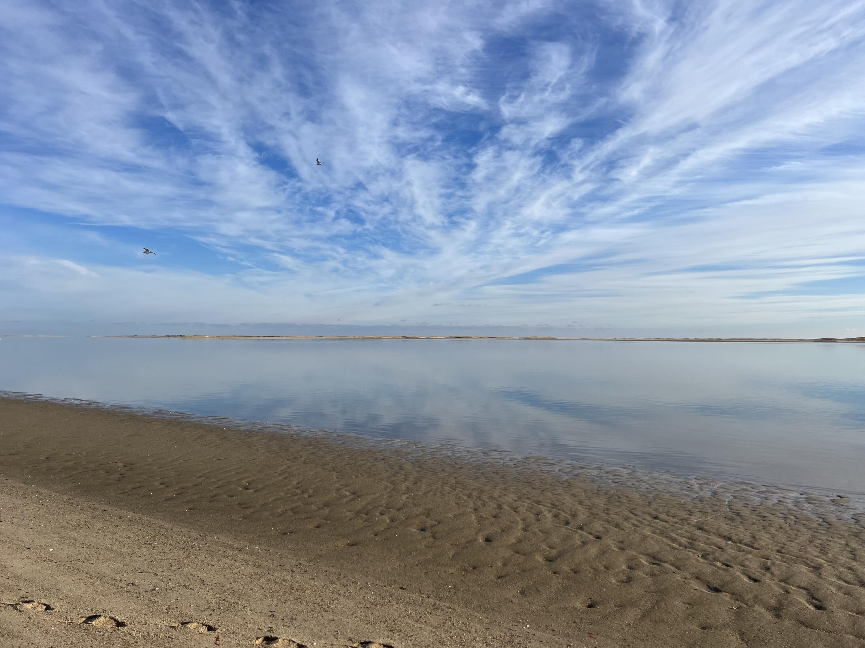 42 Champlain Road Chatham, MA 02633 - Photo 20 of 22 chatham beach 2