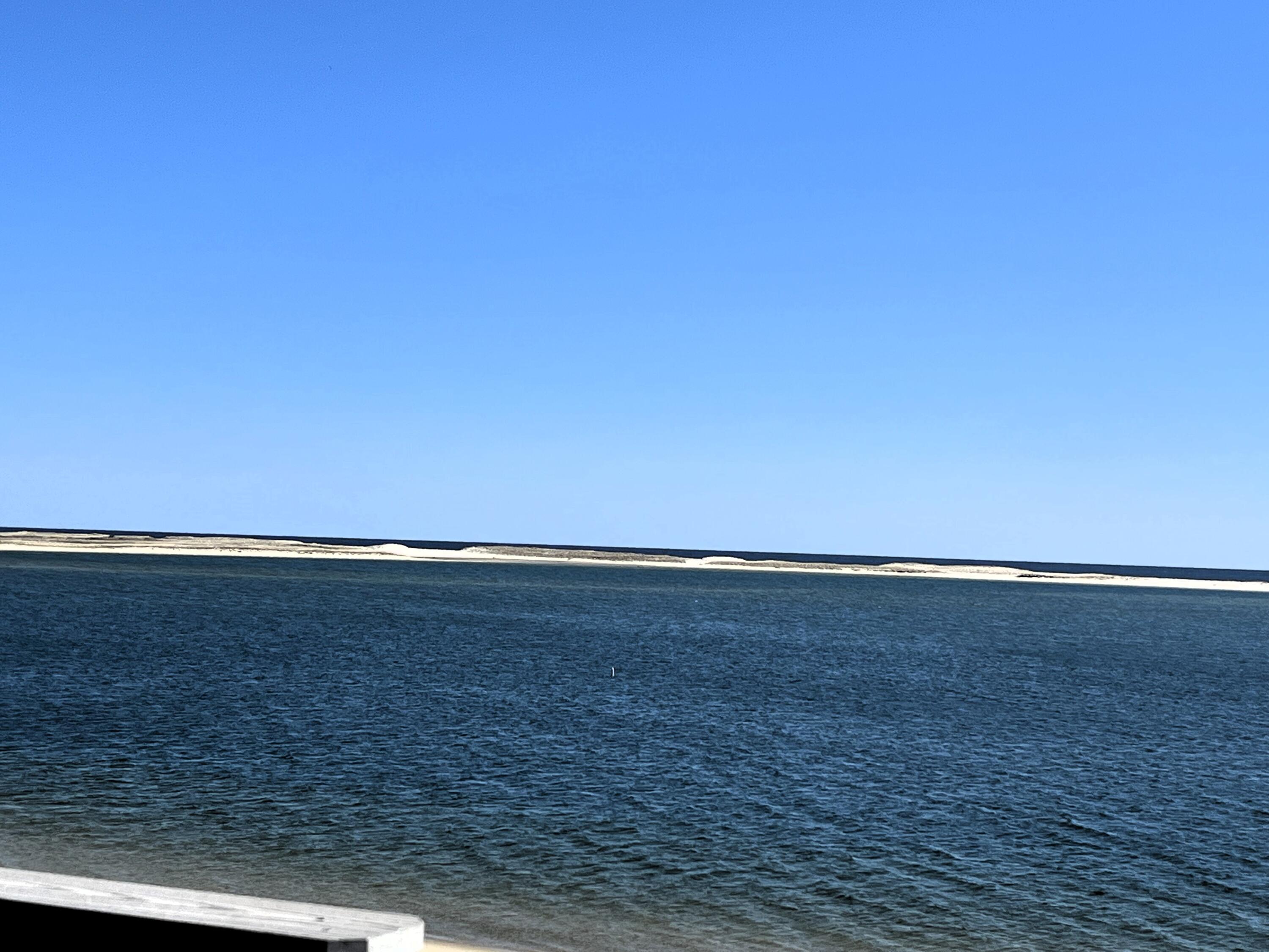 42 Champlain Road Chatham, MA 02633 - Photo 21 of 22 chatham beach 3