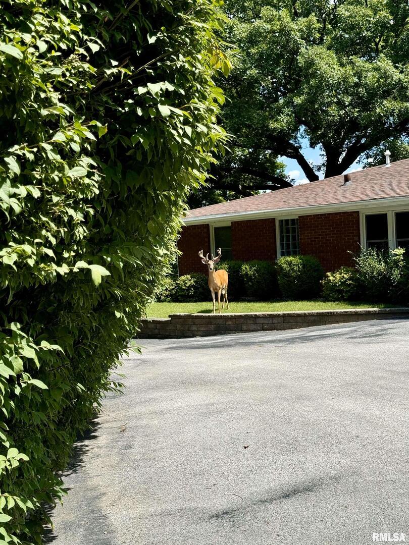 4640 5th Avenue Moline, IL 61265 - Photo 4 of 44