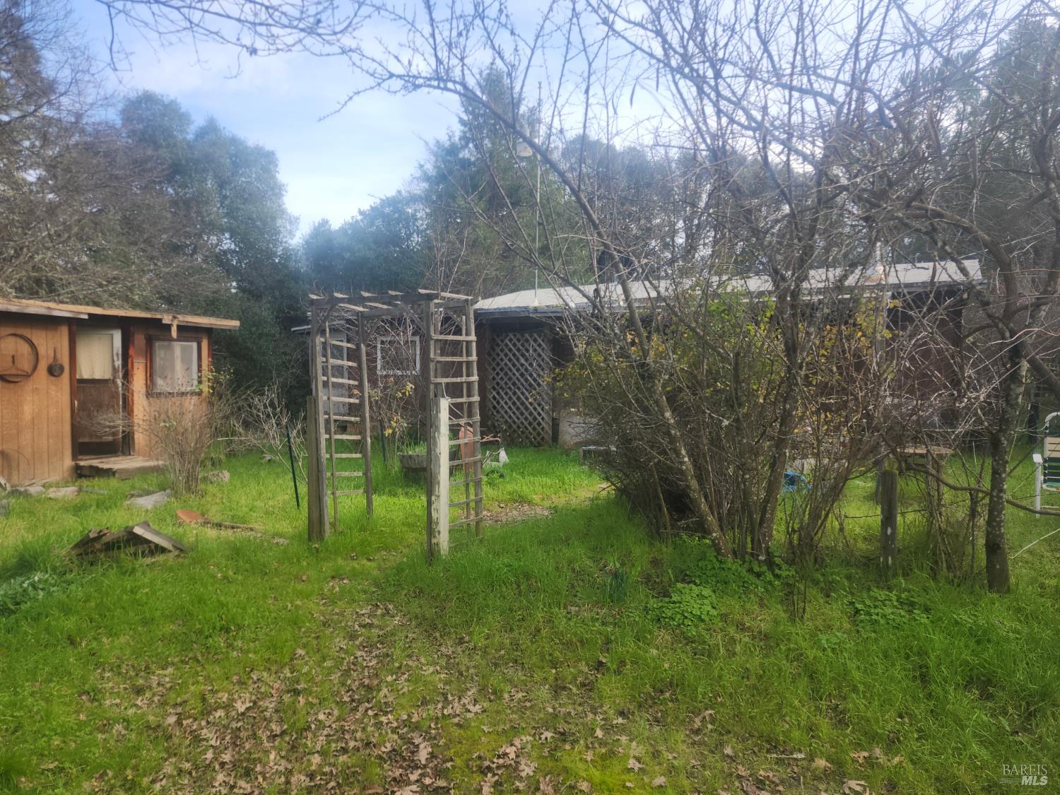 2800 Rd B Redwood Valley, CA 95470 - Photo 5 of 6 a view of a backyard with large trees