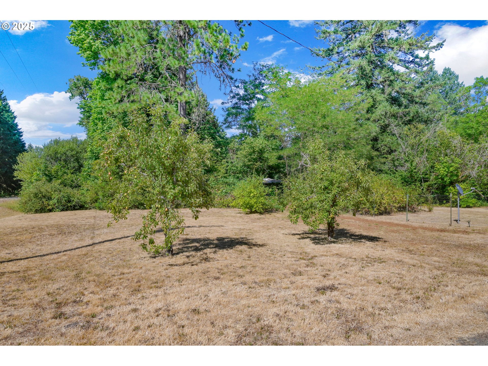 93099 Marcola Road Marcola, OR 97454 - Photo 32 of 44
