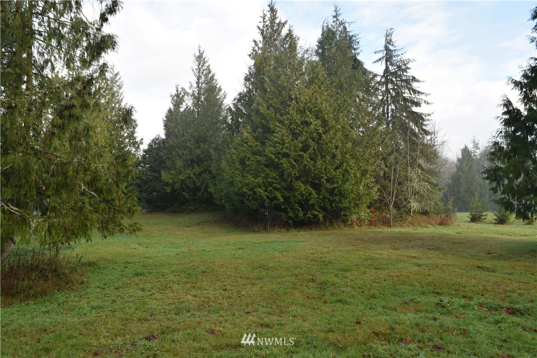 9999 Elwha Bluff Road Port Angeles, WA 98363 - Photo 4 of 9 Gallery Image 4
