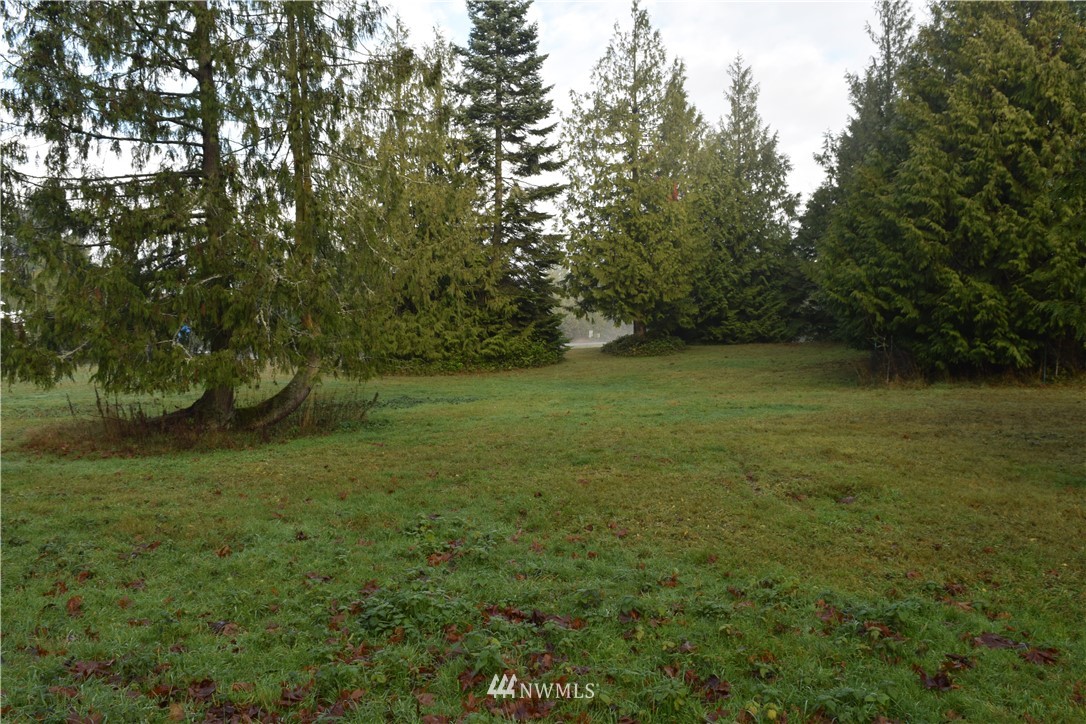 9999 Elwha Bluff Road Port Angeles, WA 98363 - Photo 5 of 9 Gallery Image 5
