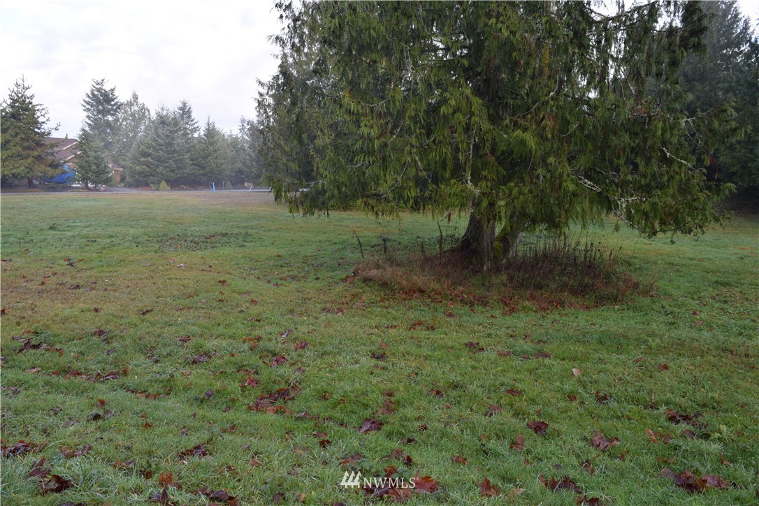 9999 Elwha Bluff Road Port Angeles, WA 98363 - Photo 6 of 9 Gallery Image 6