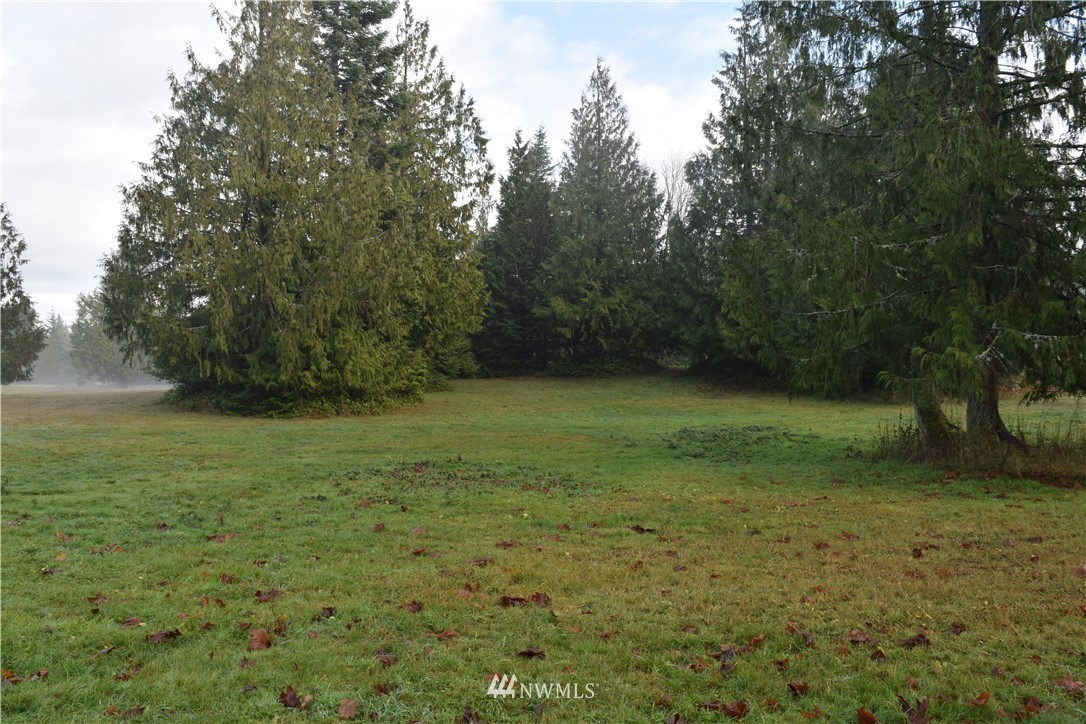 9999 Elwha Bluff Road Port Angeles, WA 98363 - Photo 7 of 9 Gallery Image 7