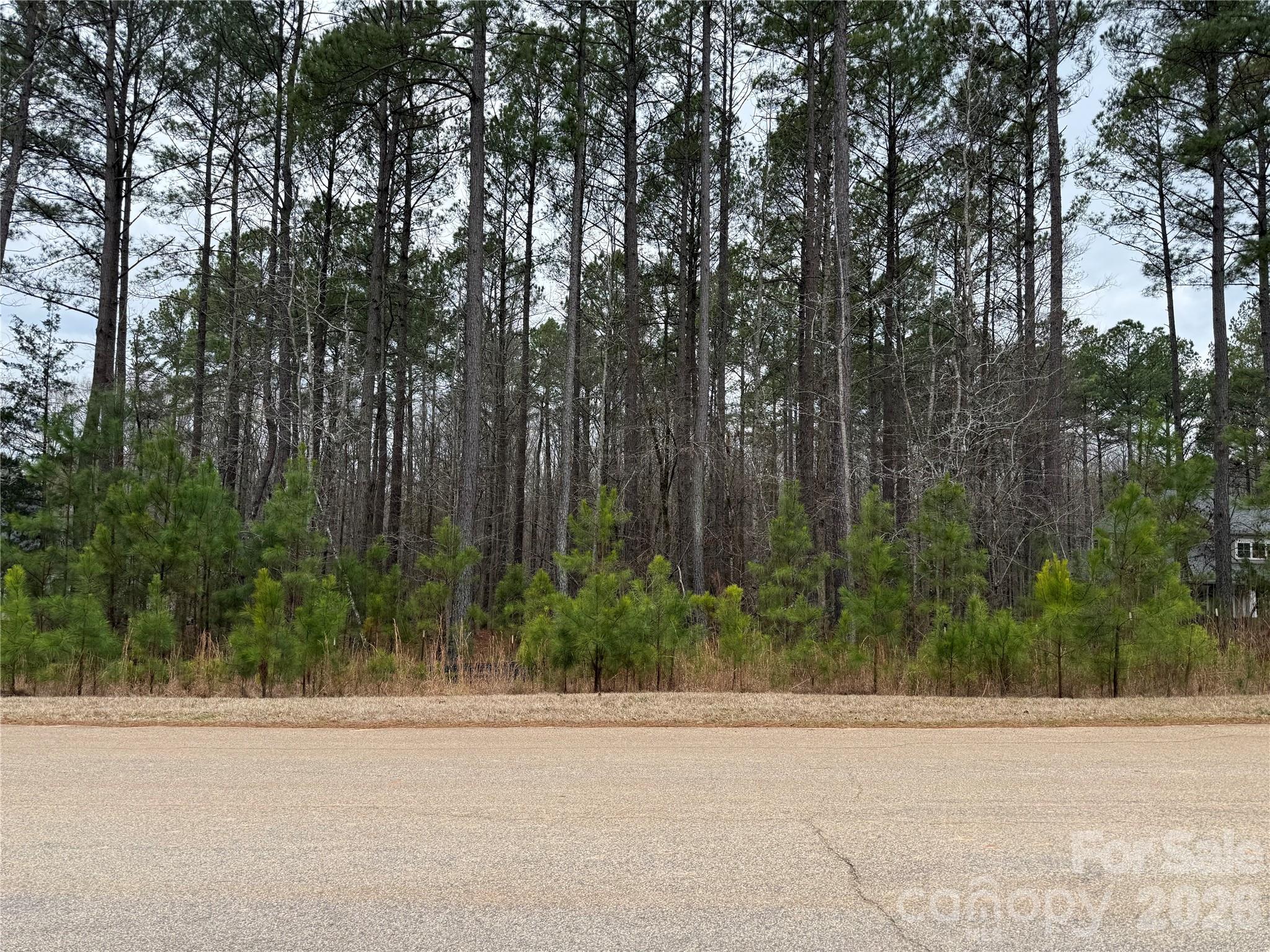 6191 Chimney Bluff Road Lancaster, SC 29720 - Photo 4 of 34 Gallery Image 4