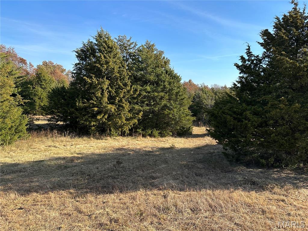 5 Hwy Ff Eldon, MO 65026 - Photo 23 of 25