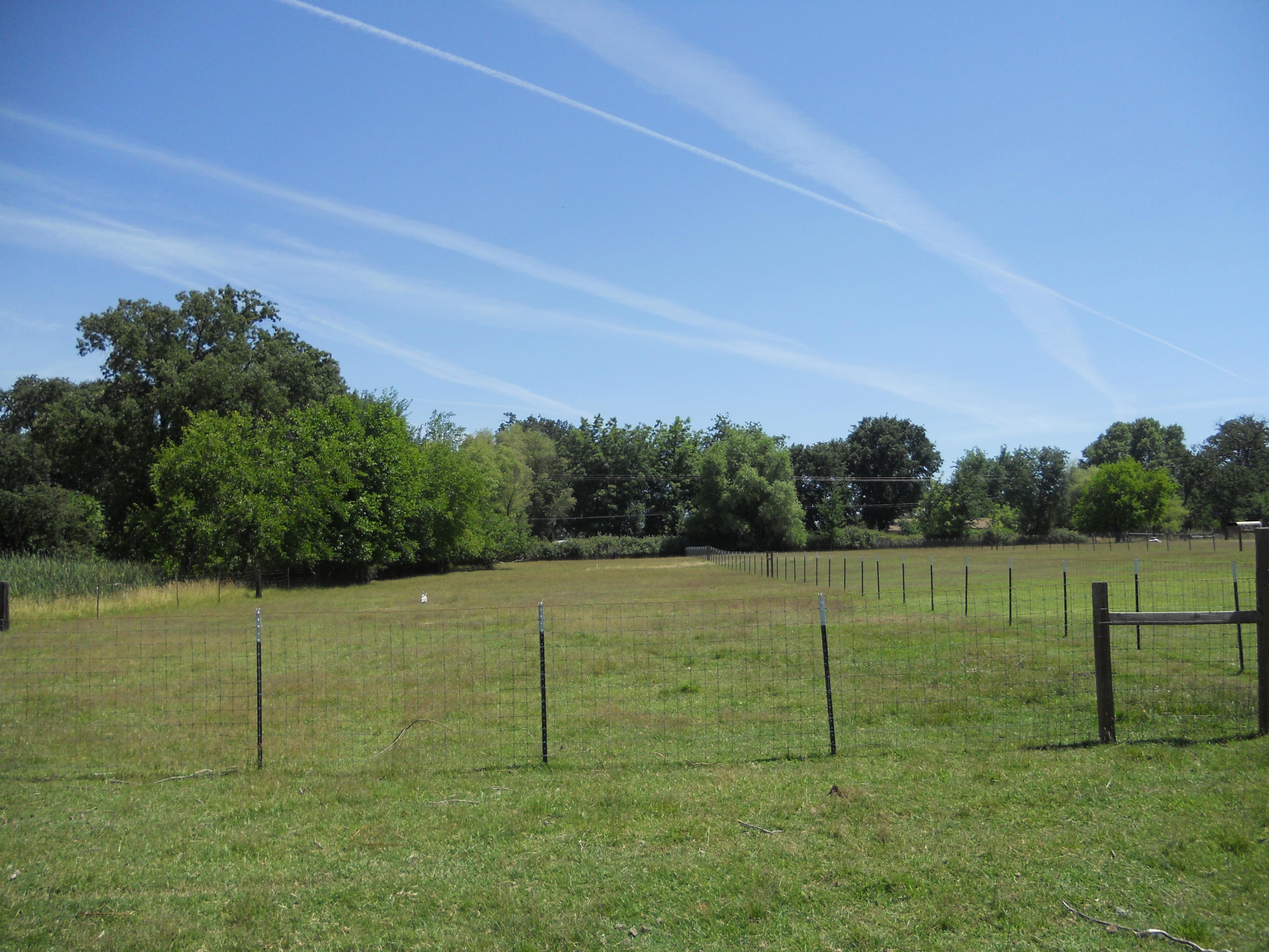 22418 Lone Tree Road Anderson, CA 96007 - Photo 3 of 7 front pasture