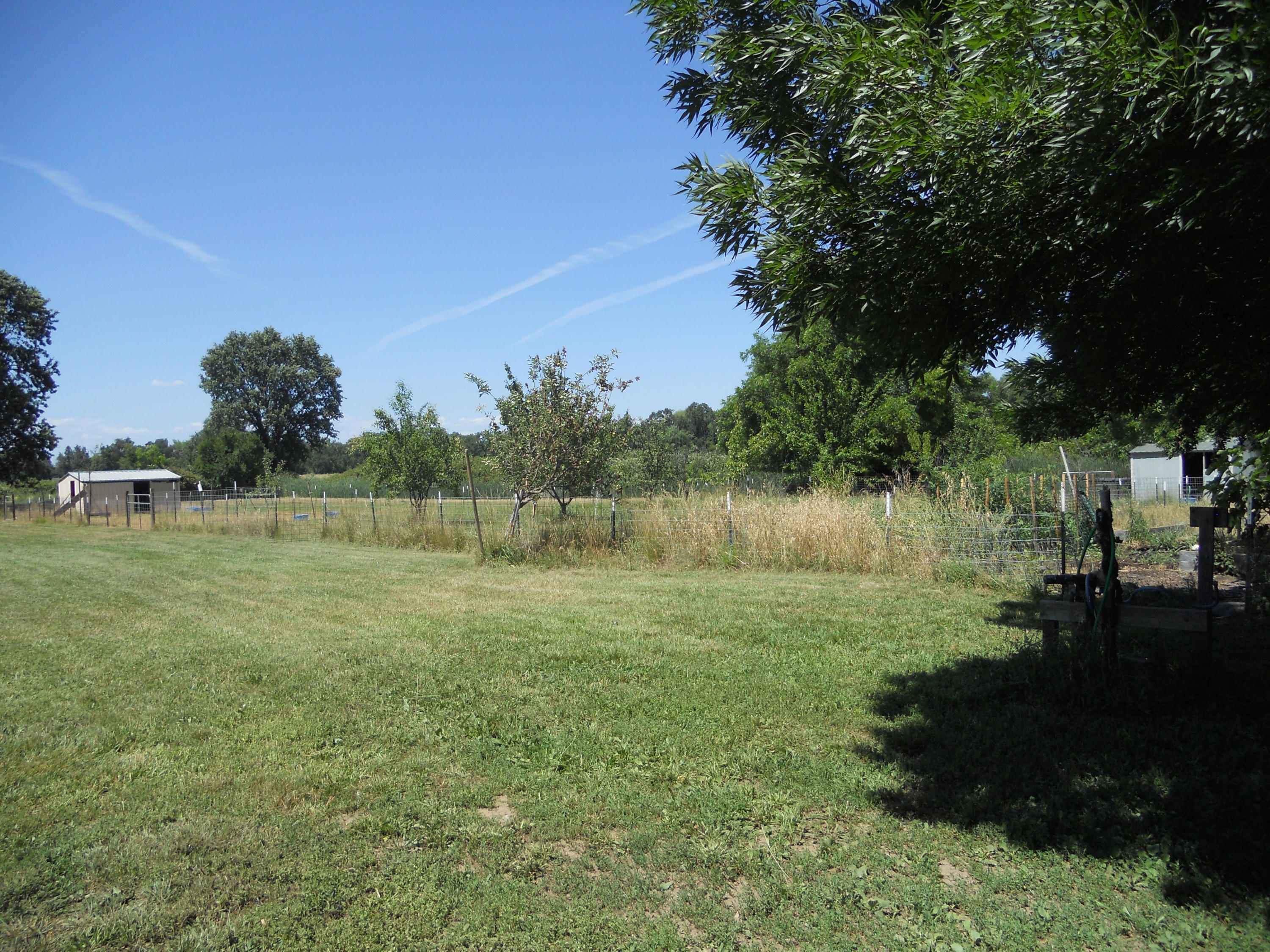 22418 Lone Tree Road Anderson, CA 96007 - Photo 7 of 7 back pasture