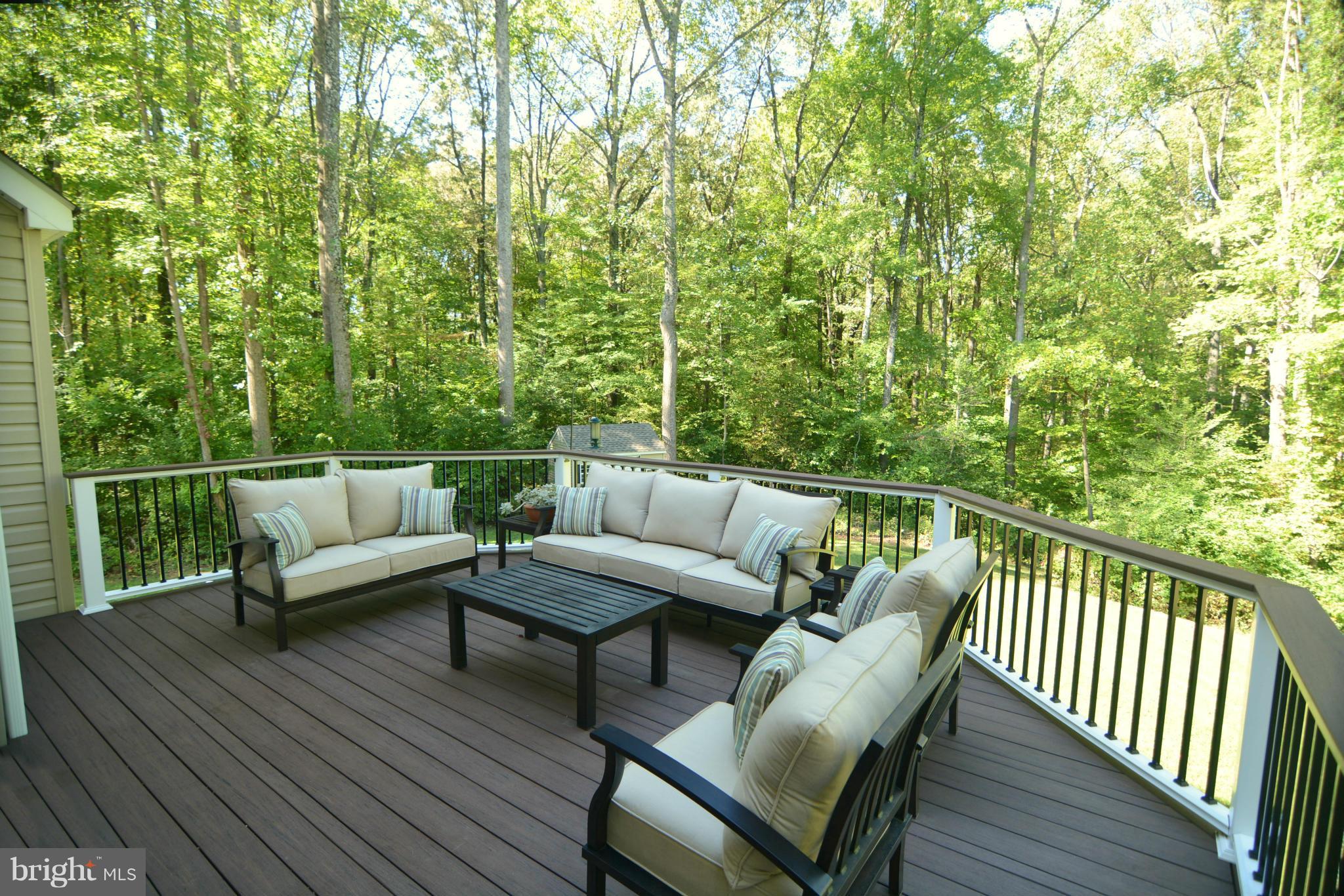 10 Old Mill Bottom Road North Annapolis, MD 21409 - Photo 26 of 30 Rear deck