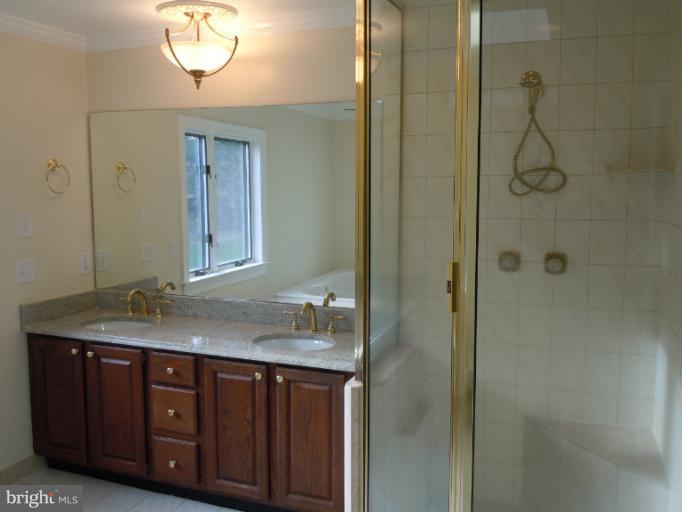 1112 Hawlings Road Brookeville, MD 20833 - Photo 24 of 30 Bath (Master)