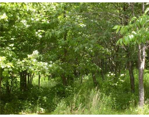 310 Old Forty Road Addison, PA 15411 - Photo 16 of 17 Land.