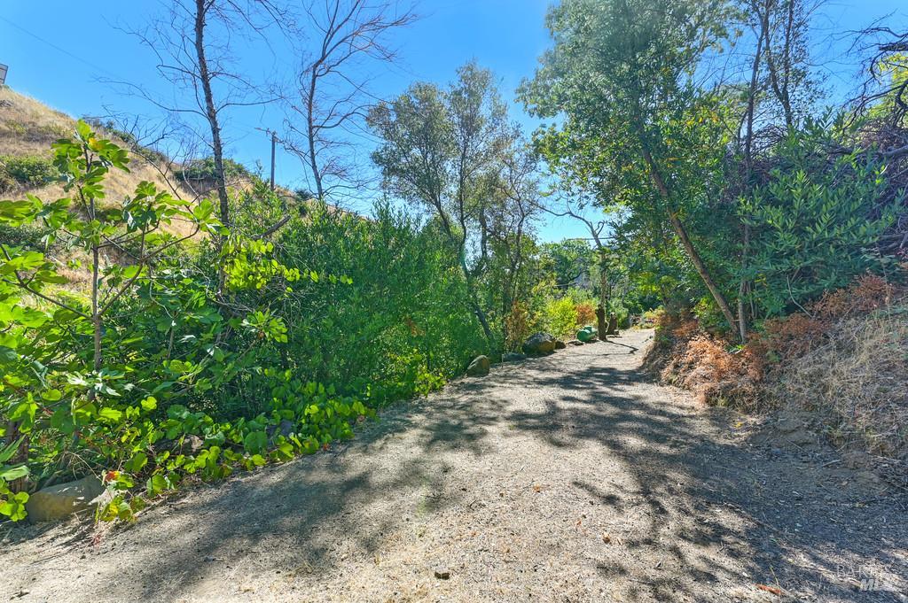 2985 Mix Canyon Road Vacaville, CA 95688 - Photo 11 of 34 a view of a yard with plants and trees