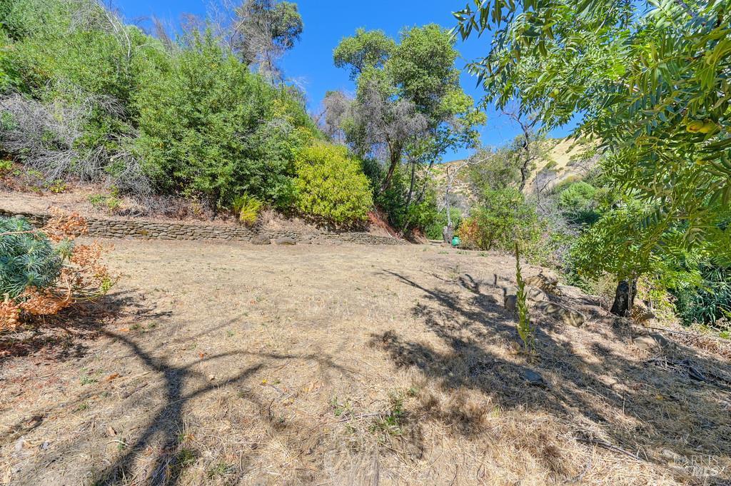 2985 Mix Canyon Road Vacaville, CA 95688 - Photo 17 of 34 a view of a yard with plants and trees