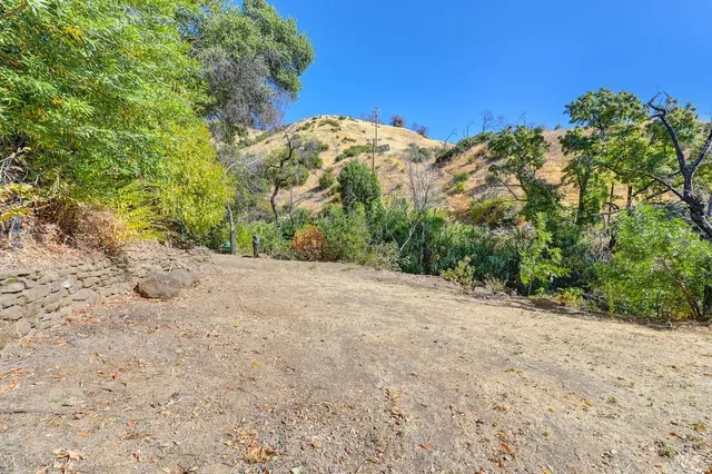 a view of a backyard