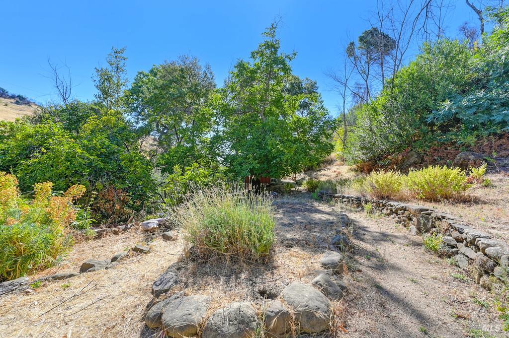 2985 Mix Canyon Road Vacaville, CA 95688 - Photo 22 of 34 a view of a yard with plants and large trees