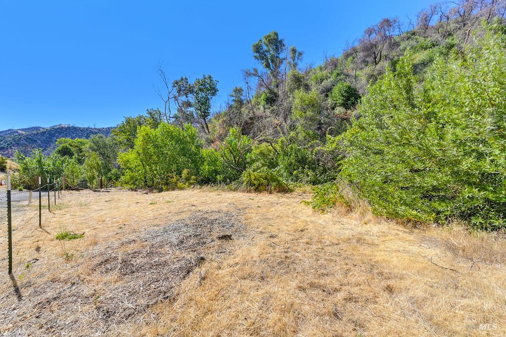 2985 Mix Canyon Road Vacaville, CA 95688 - Photo 24 of 34 a view of a yard with a tree