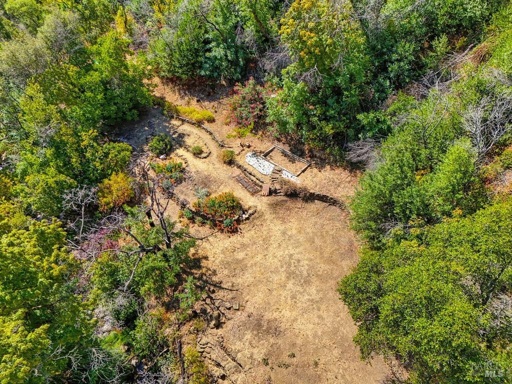 2985 Mix Canyon Road Vacaville, CA 95688 - Photo 27 of 34 a view of a yard with plants and tree