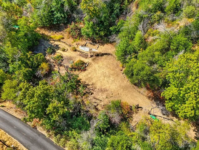 a view of a yard with plants