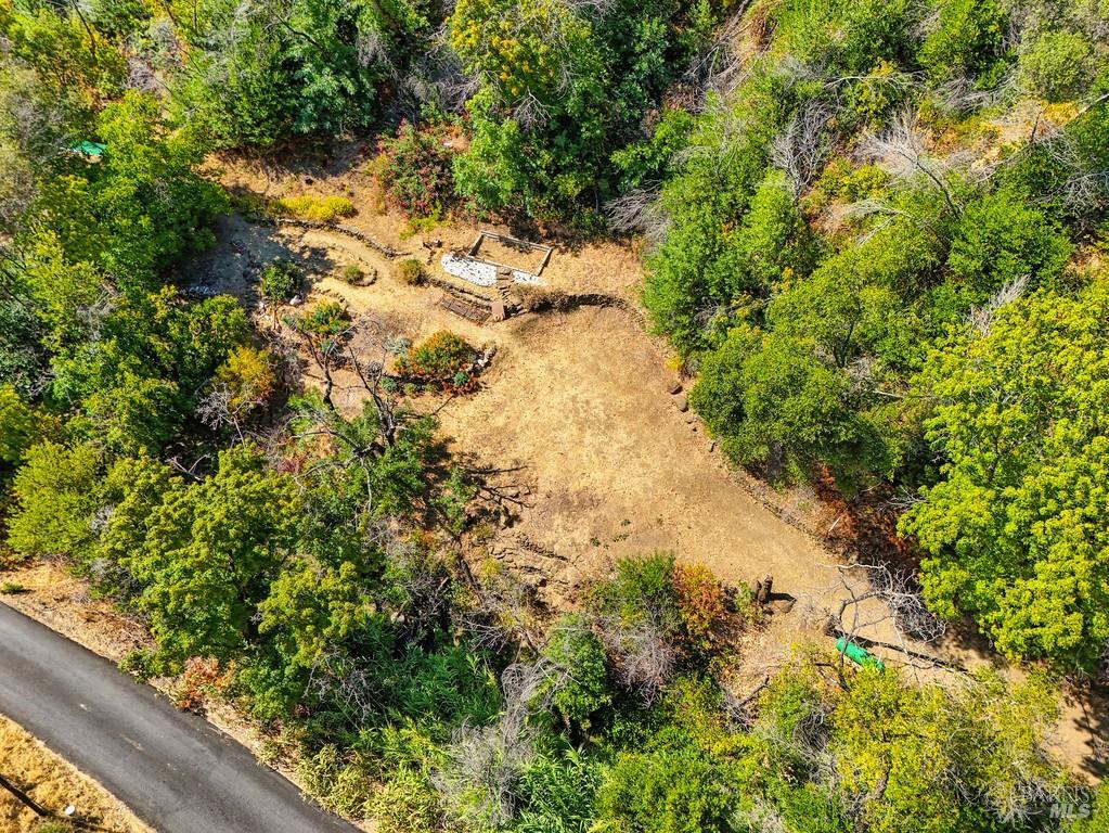 2985 Mix Canyon Road Vacaville, CA 95688 - Photo 28 of 34 a view of a garden with plants and large trees