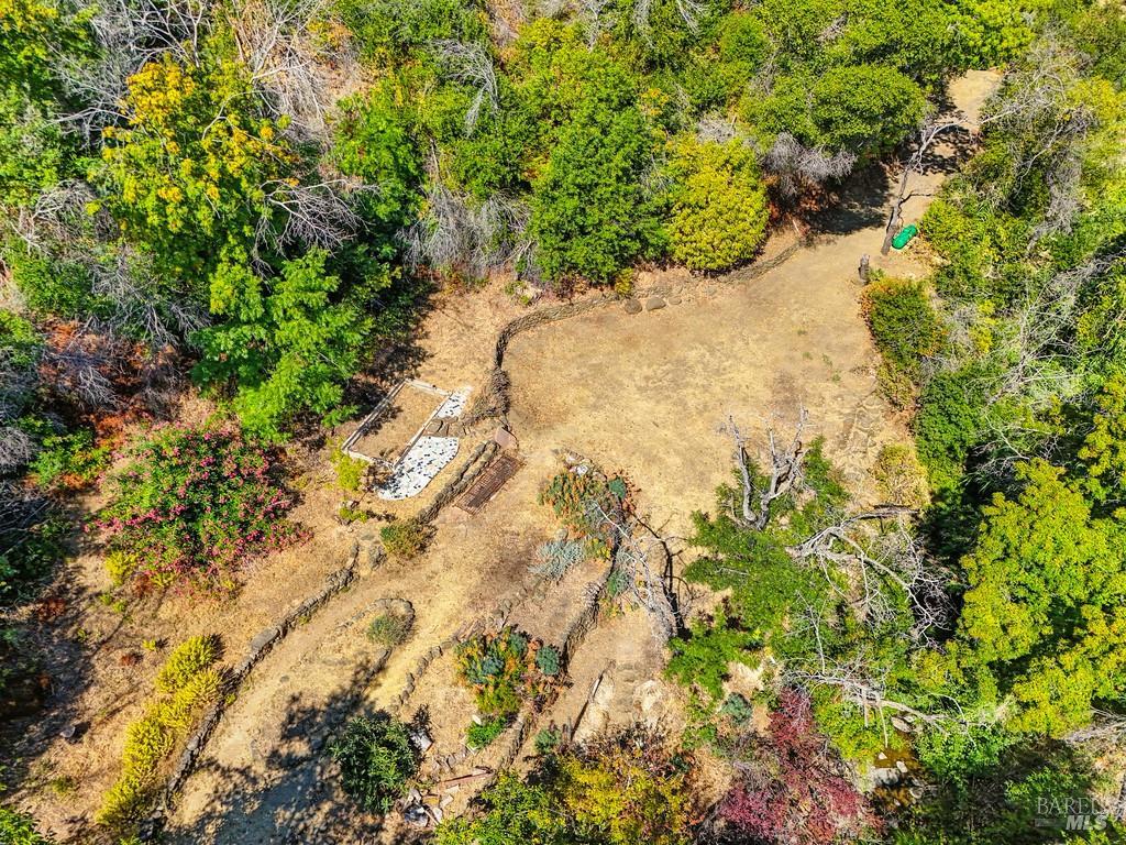 2985 Mix Canyon Road Vacaville, CA 95688 - Photo 29 of 34 a view of a yard with plants